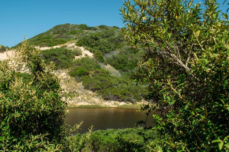 0 Bedroom Property for Sale in Moquini Western Cape